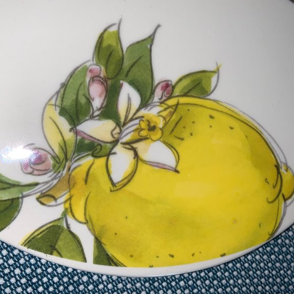 Lemon Charcuterie / Cheese Board - NWT - Picture 3 of 5